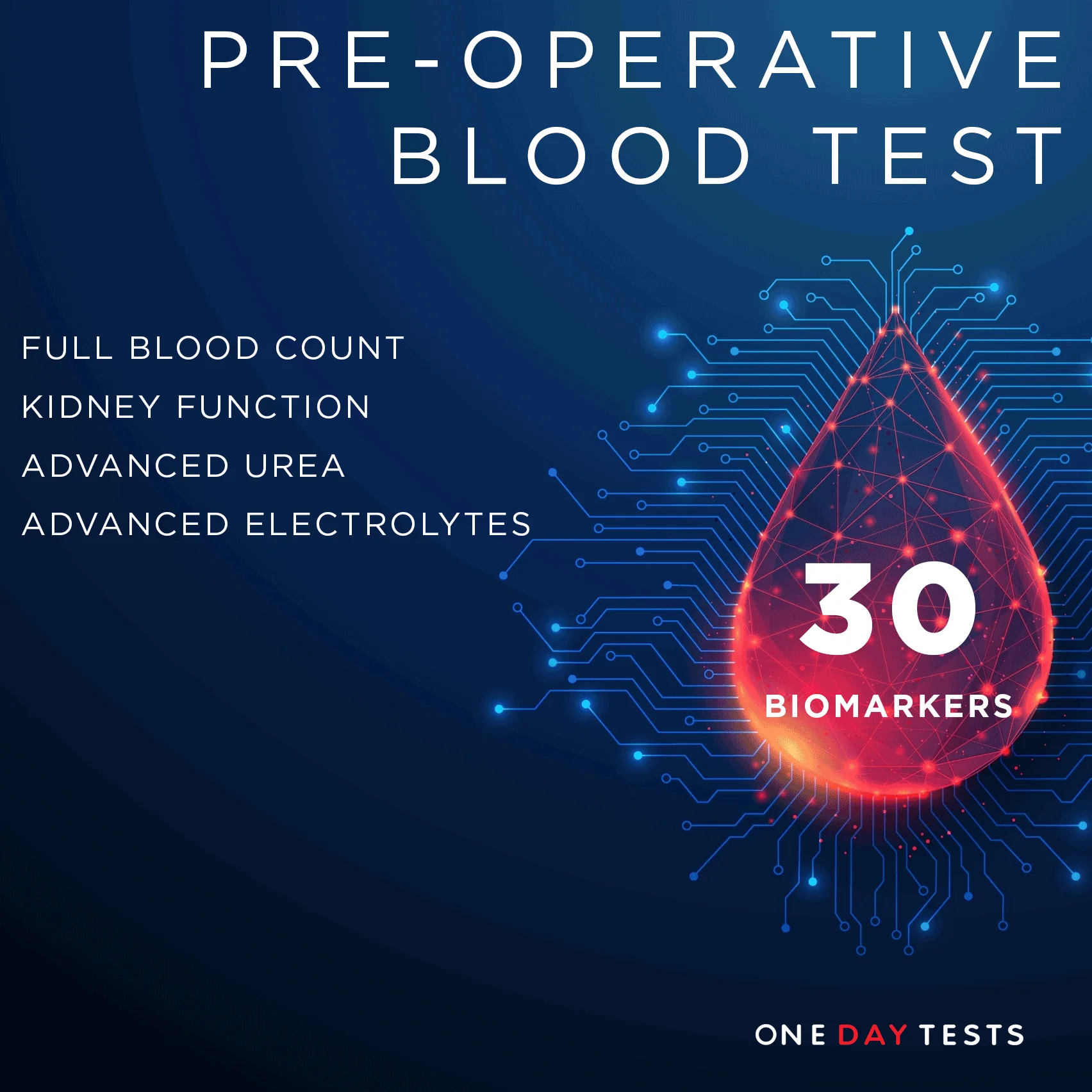 Blood Test Kit